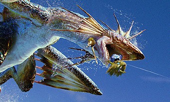 Monster Hunter 3 Ultimate: アメリカのテレビスポット